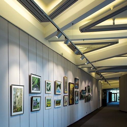 Светодиодная подсветка для музейных экспонатов и памятников